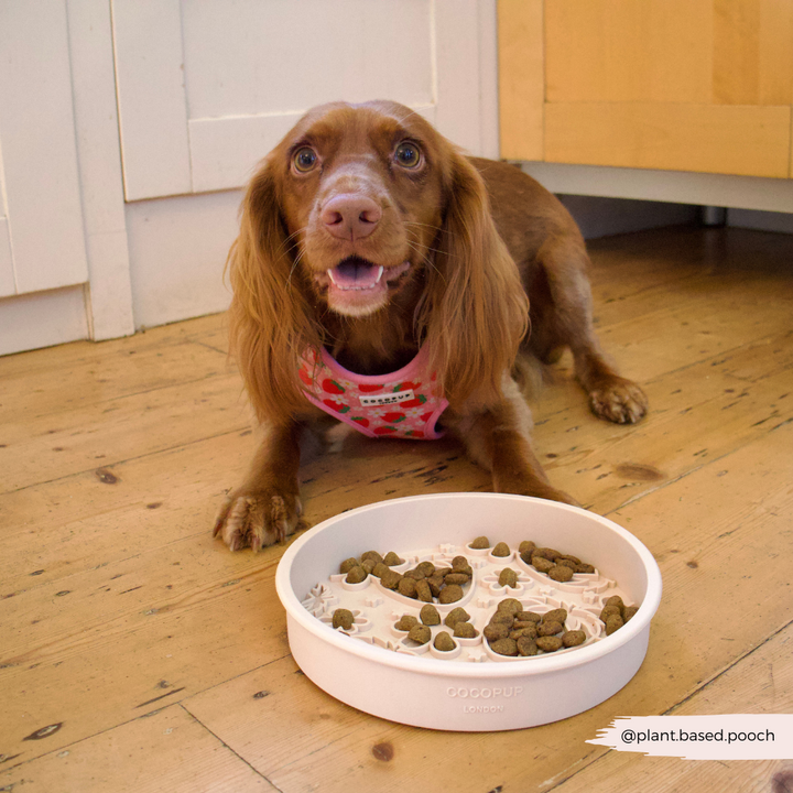 Silicone Slow Feed Dog Bowl - Pupberry Fields