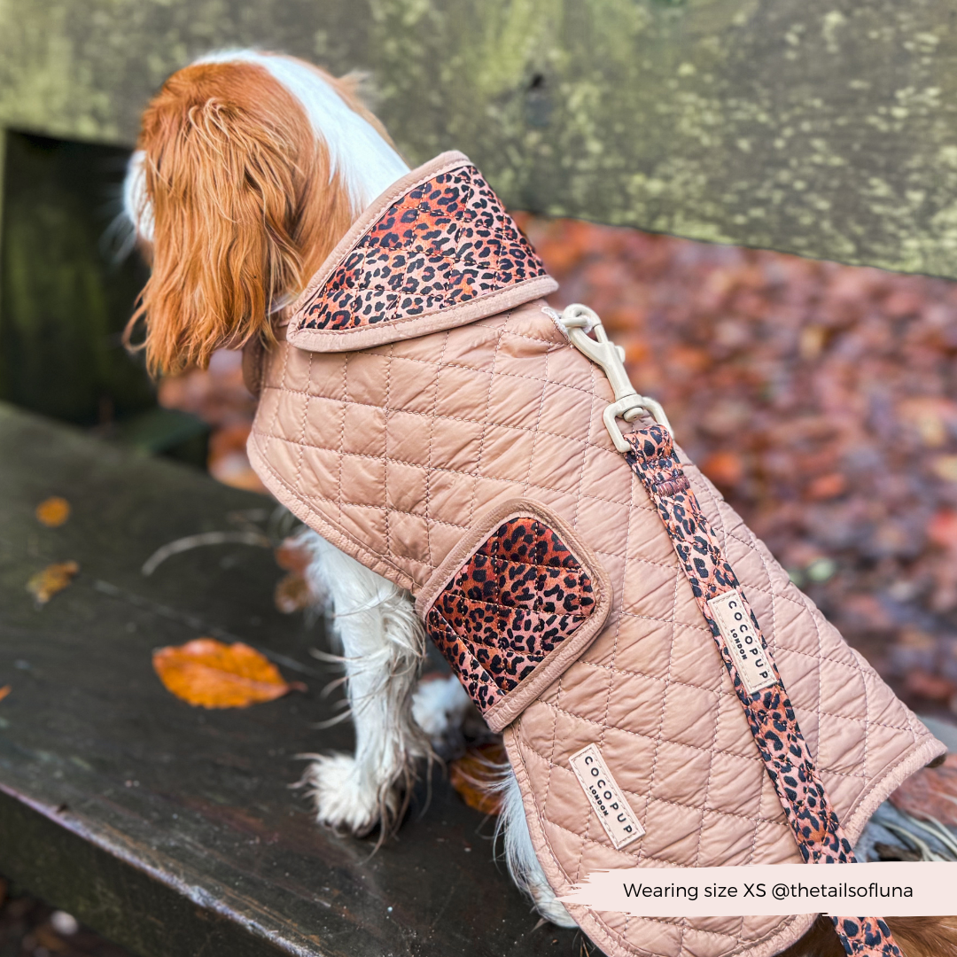 Quilted Dog Coat Leopard Pup Cocopup London - Main Image