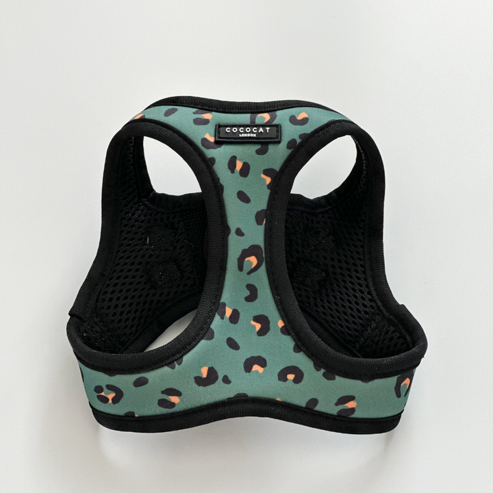 Cat Harness - Khaki Leopard