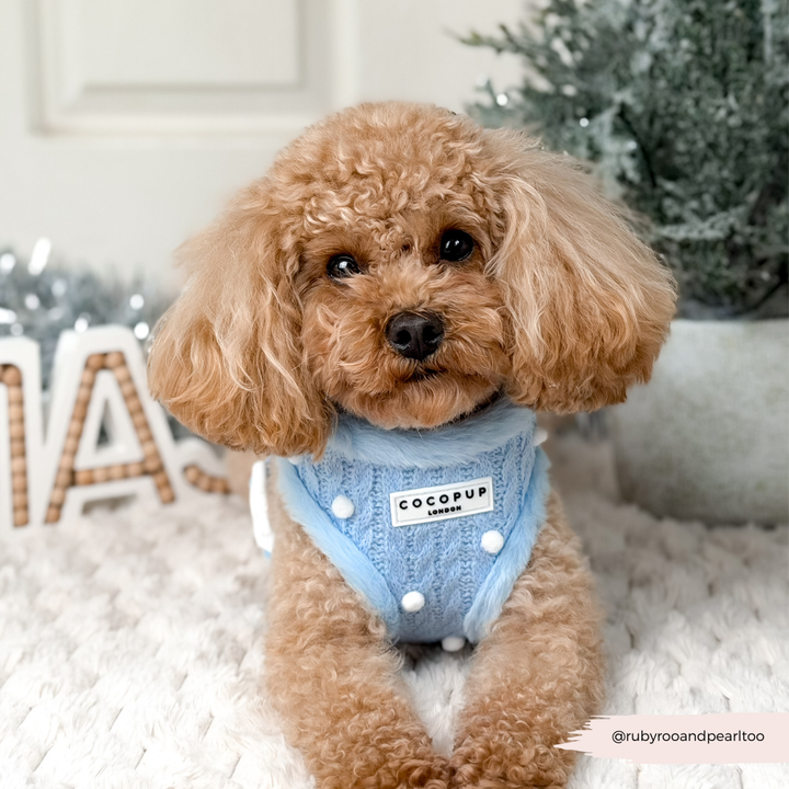 Snowpaws Adjustable Neck Harness, Lead & Collar Bundle