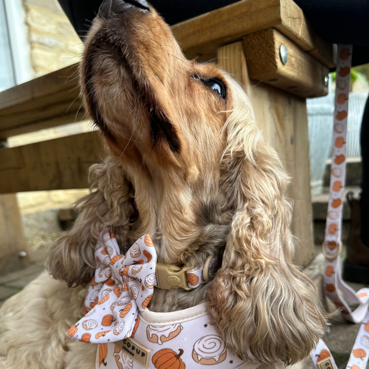 Cinnamon Buns Sailor Bow Tie