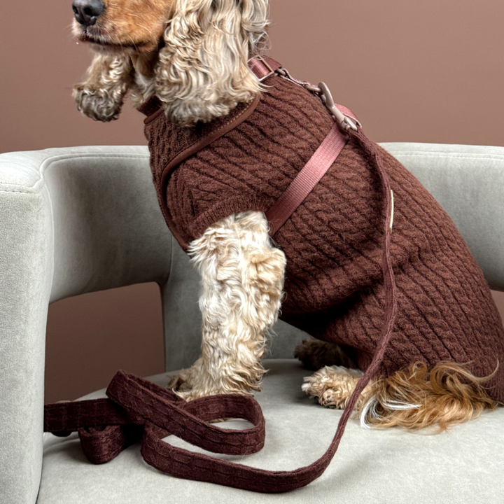 Hot Coco Cable Knit Adjustable Neck Harness, Lead & Collar Bundle