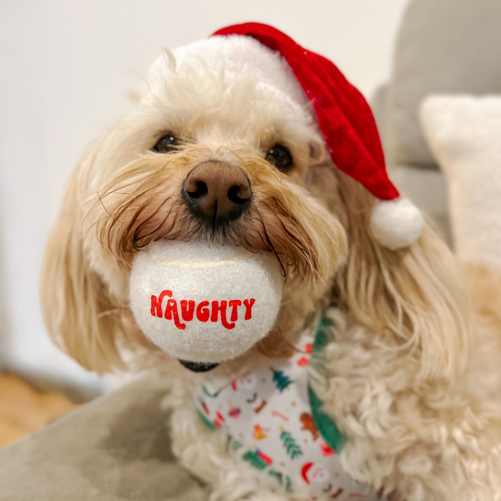 Limited Edition Christmas Tennis Ball - Naughty