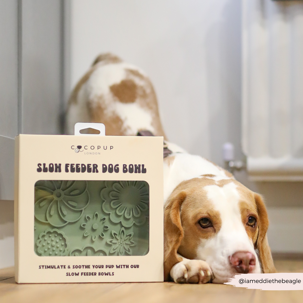 Silicone Slow Feed Dog Bowl Sage Flowers – Cocopup London