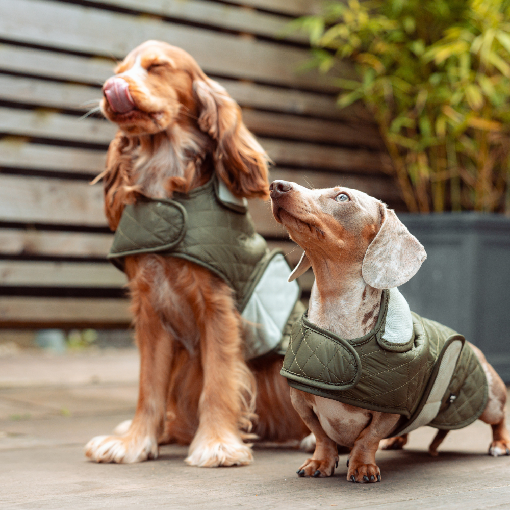 LUXE Quilted Dog Coat - Country Khaki