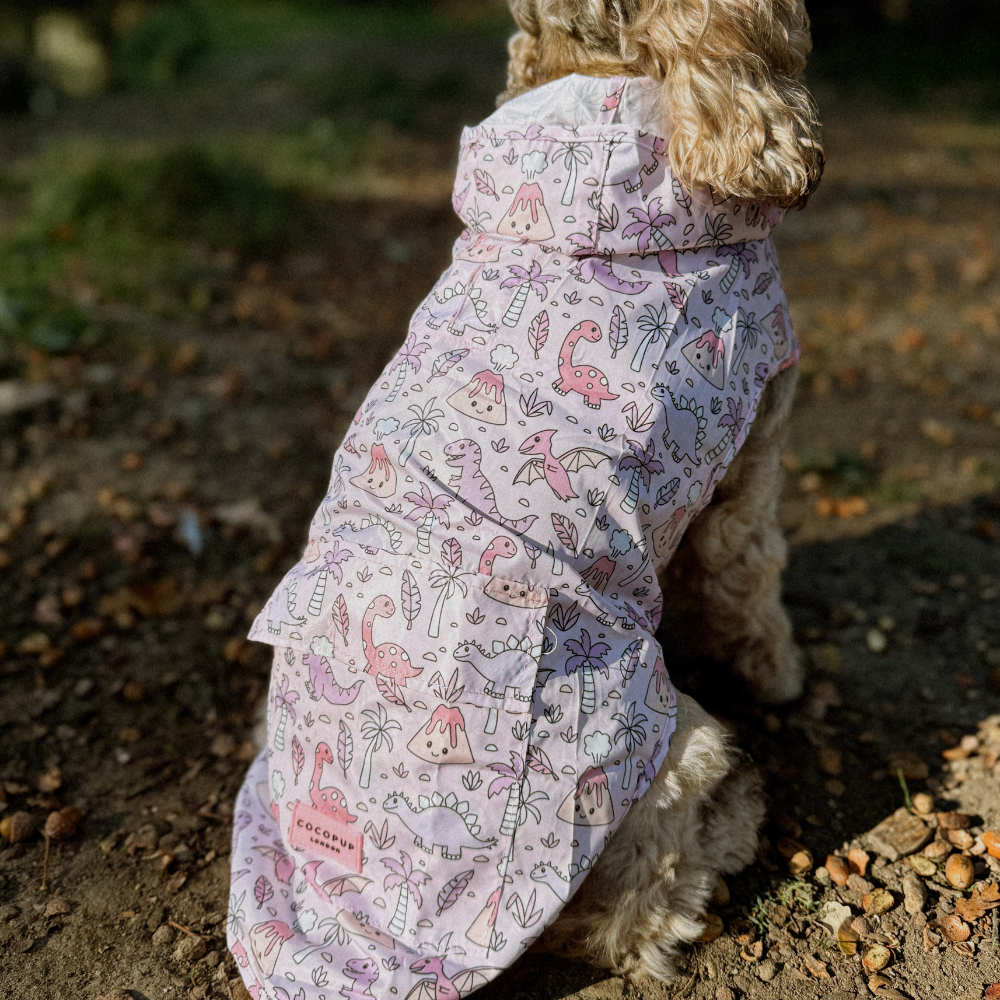 Teddy Dogs For Sale Uk Wholesale Coupons