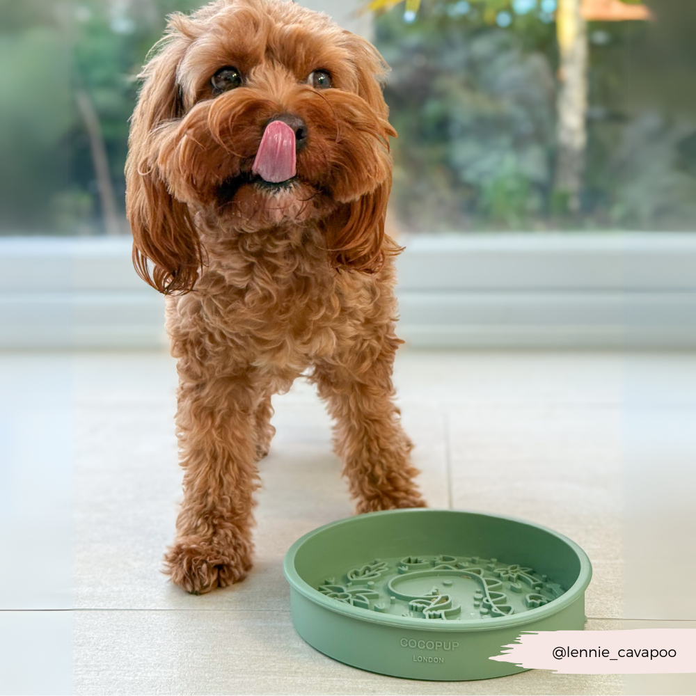 Silicone Slow Feed Dog Bowl - Dinopaws