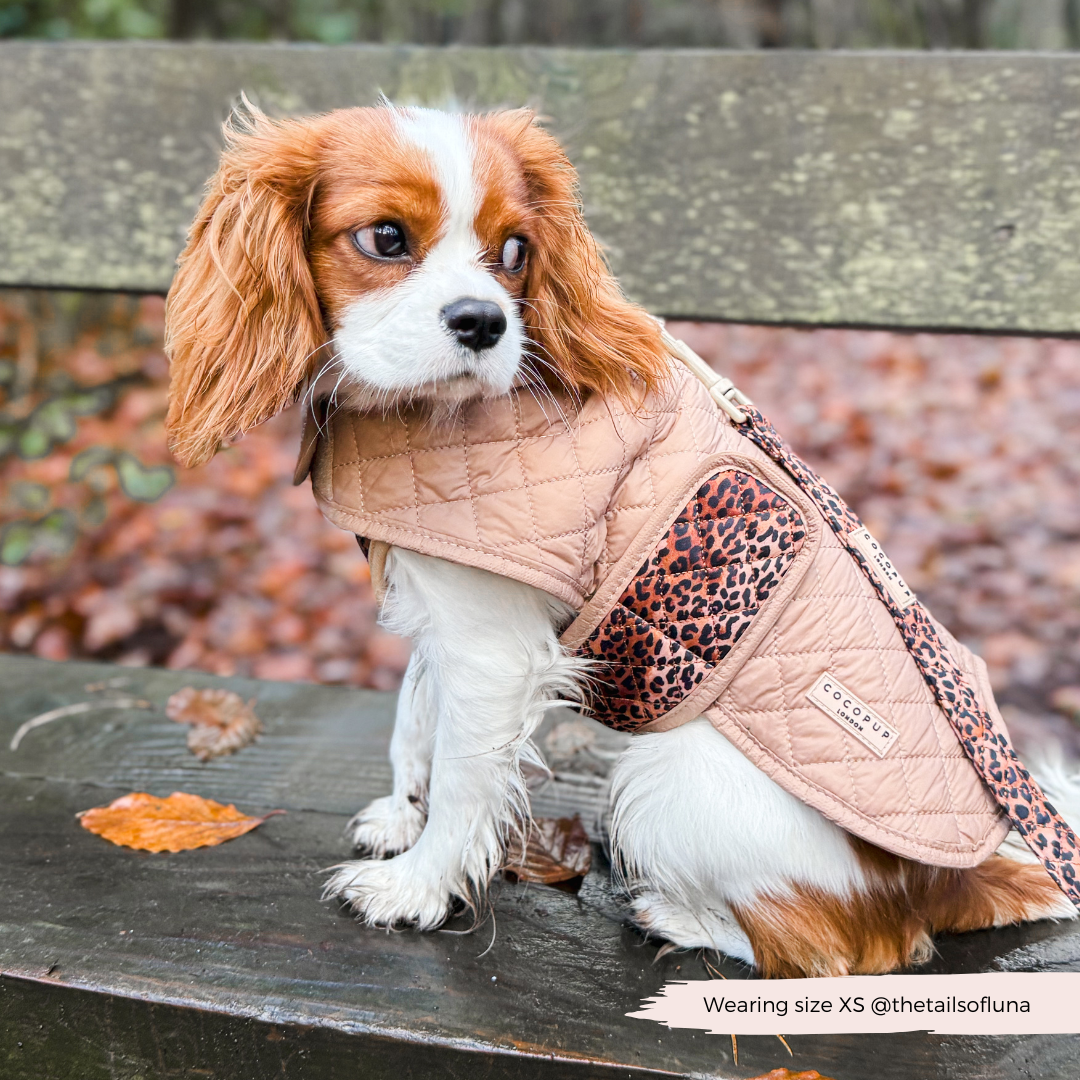 Quilted Dog Coat Leopard Pup Cocopup London - Main Image