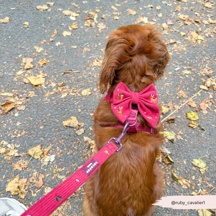 Holly Jolly Trails Sailor Bow Tie