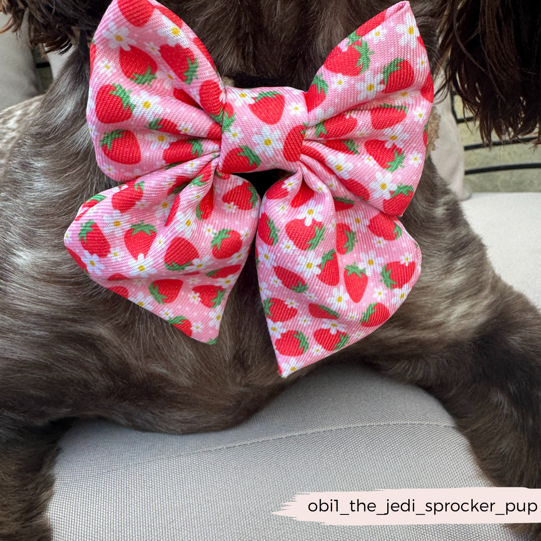 Pupberry Fields Sailor Bow Tie
