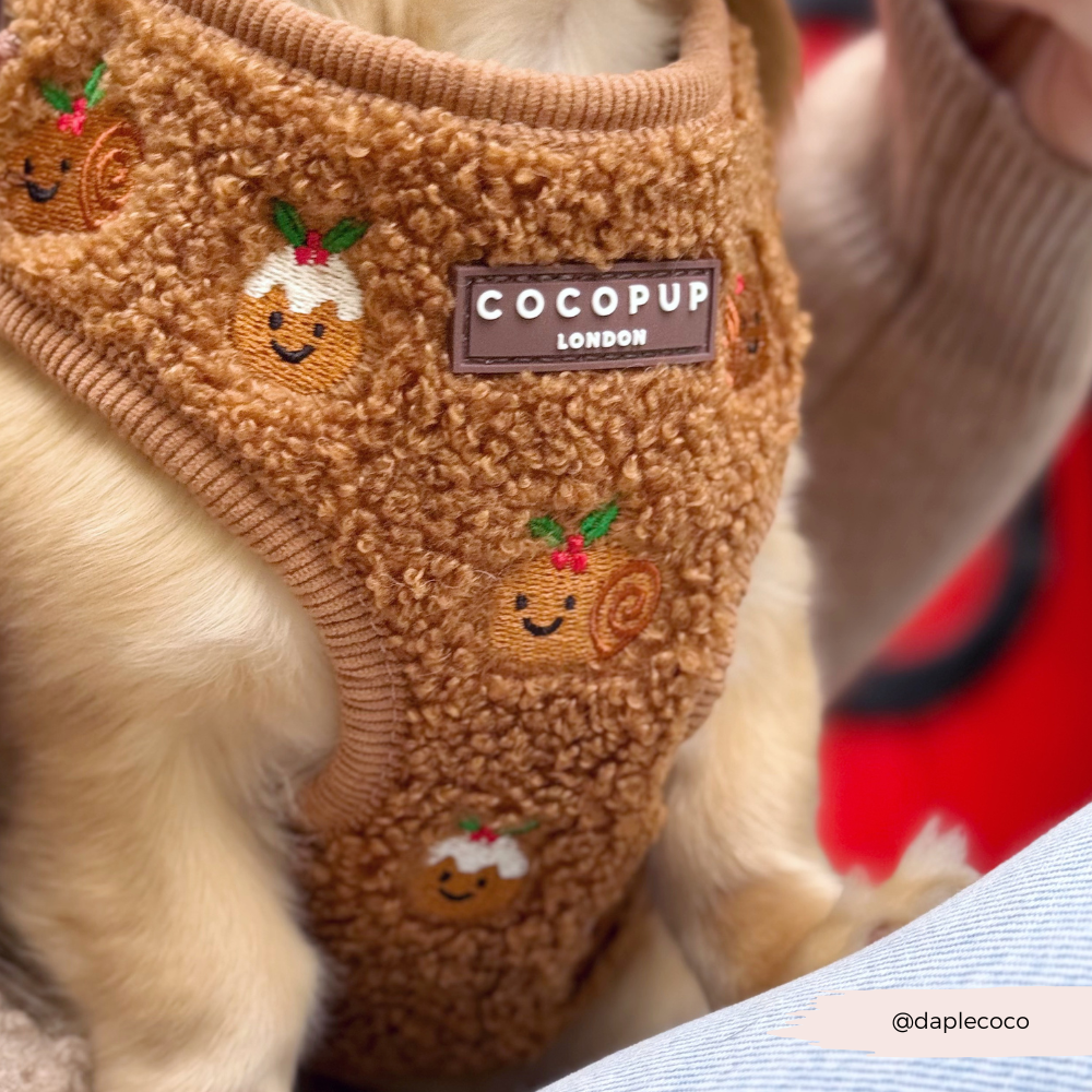 Festive Pudding Pup Adjustable Neck Harness, Lead & Collar Bundle