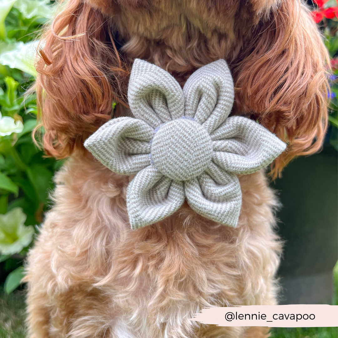 Brown Tweed Collar Flower