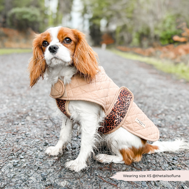 LUXE Quilted Dog Coat - Leopard Pup