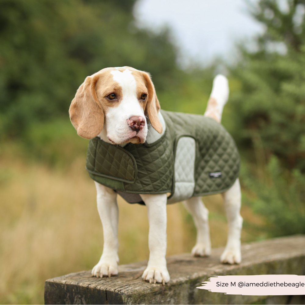 LUXE Quilted Dog Coat - Country Khaki