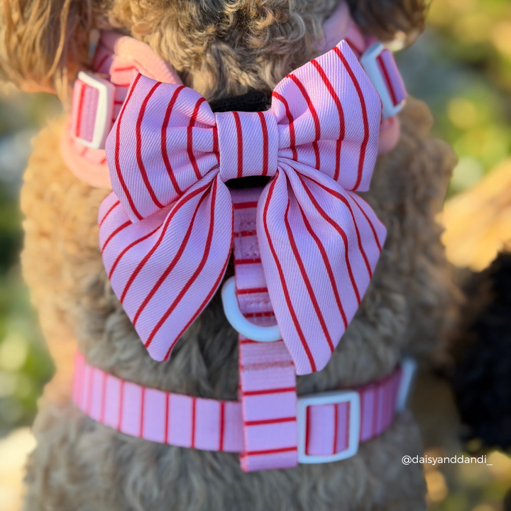 Candy Stripe Sailor Bow Tie