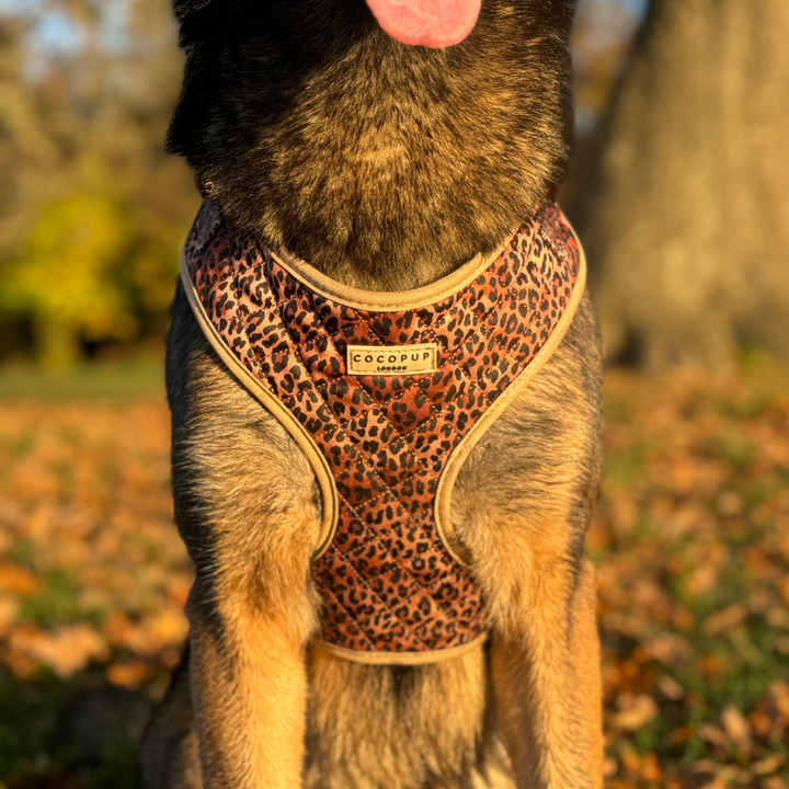 Quilted Leopard Pup Adjustable Neck Harness