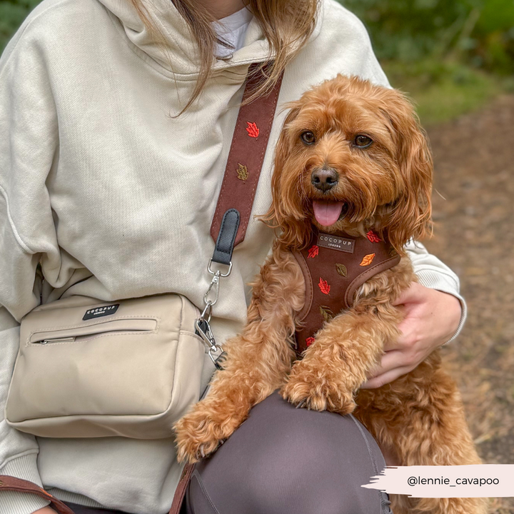 Dog Walking Caramel Latte Bag Bundle - Pawtumn leaves