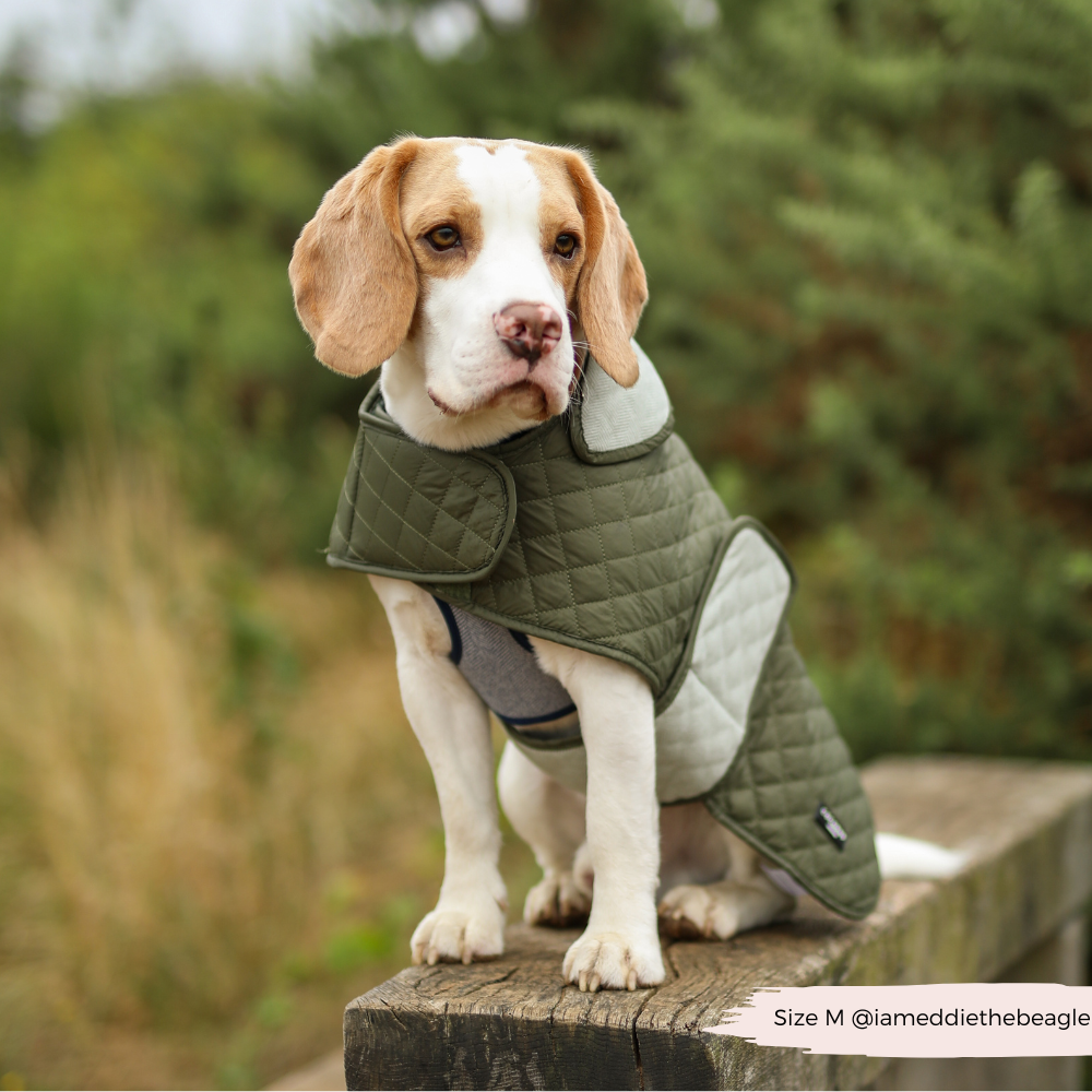 LUXE Quilted Dog Coat Country Khaki Cocopup London