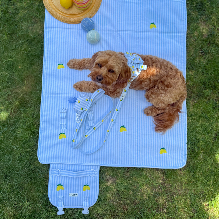 PERSONALISED Travel Mat - Living La Vida Lemon