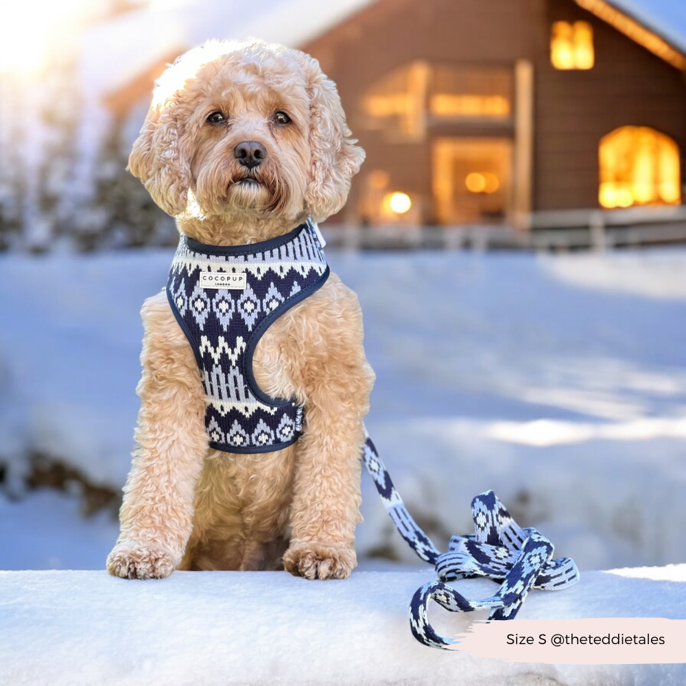 Chalet Pup Adjustable Neck Harness