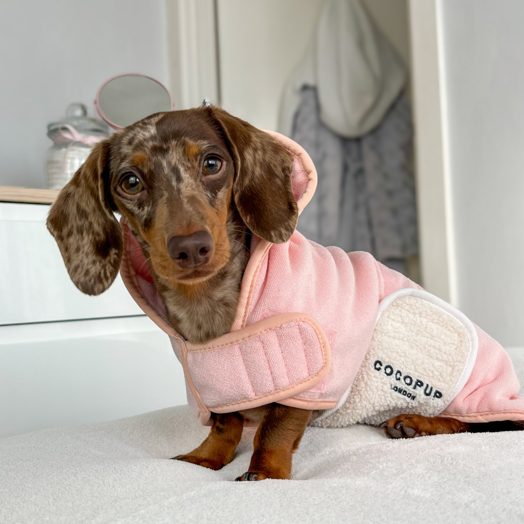 Pupicorn Dog Drying Robe Cocopup London