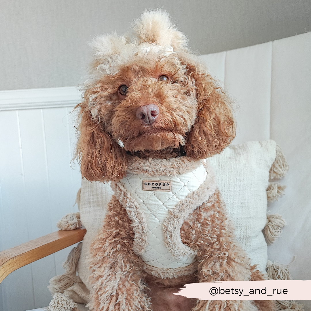 Cream Quilted Adjustable Neck Dog Harness Cocopup London