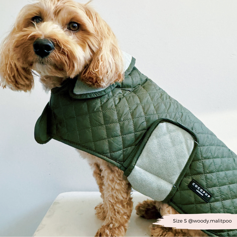 LUXE Quilted Dog Coat Country Khaki Cocopup London