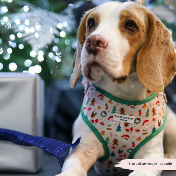 Christmas Pawty Adjustable Neck Harness, Lead & Collar Bundle