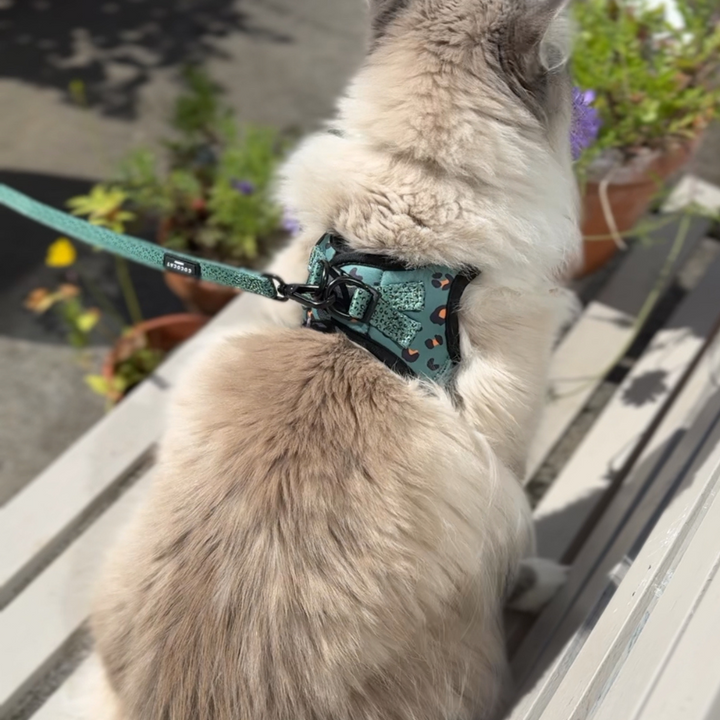 Cat Harness - Khaki Leopard