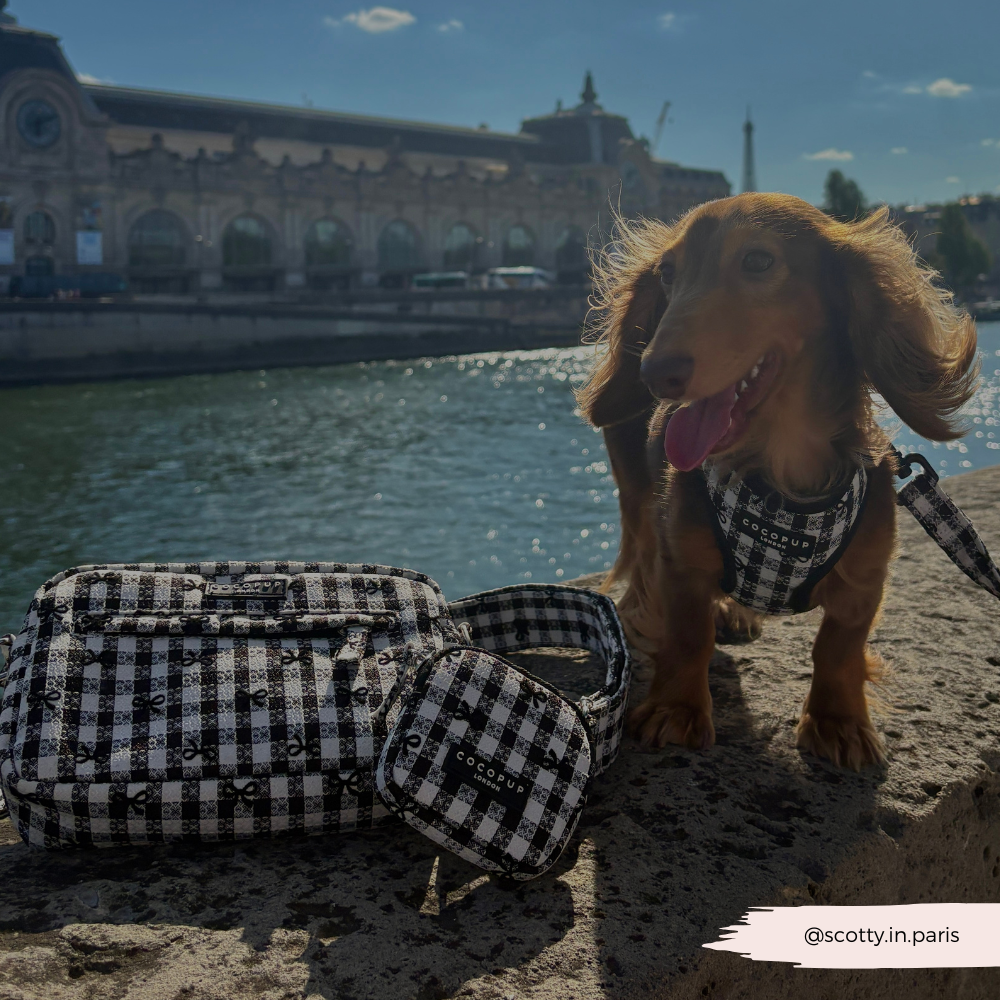 Pup in Paris Dog Walking Bag Bundle - Pup in Paris