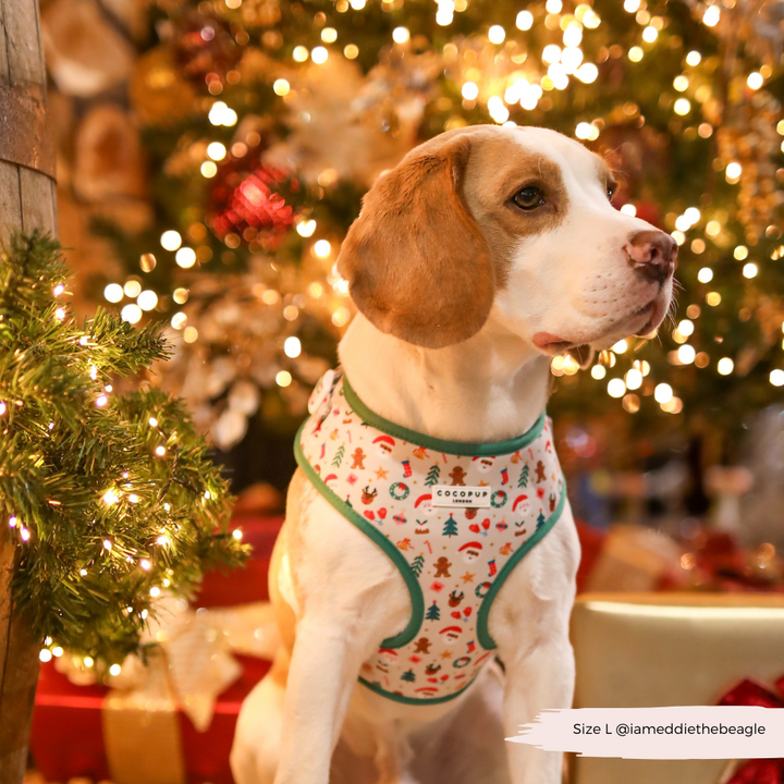 Christmas Pawty Adjustable Neck Harness, Lead & Collar Bundle