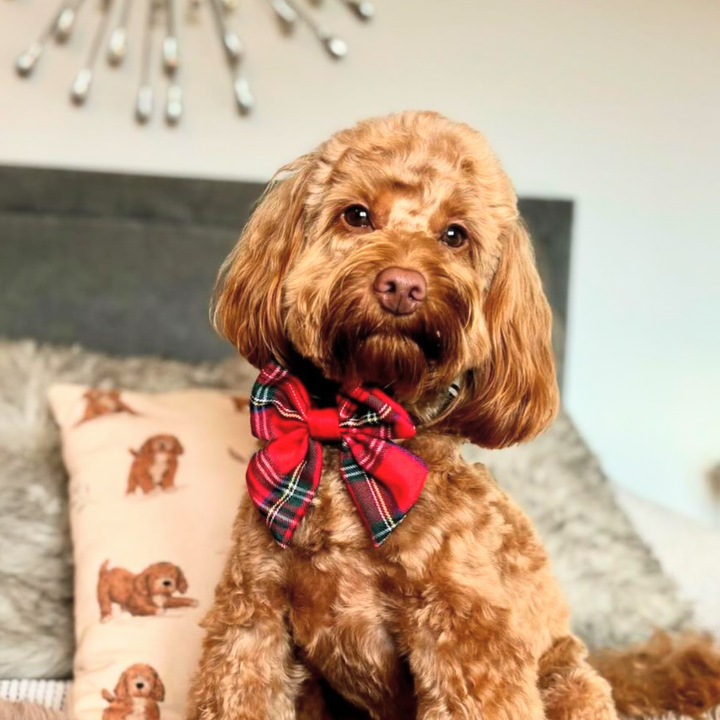 Tartan Sailor Bow Tie