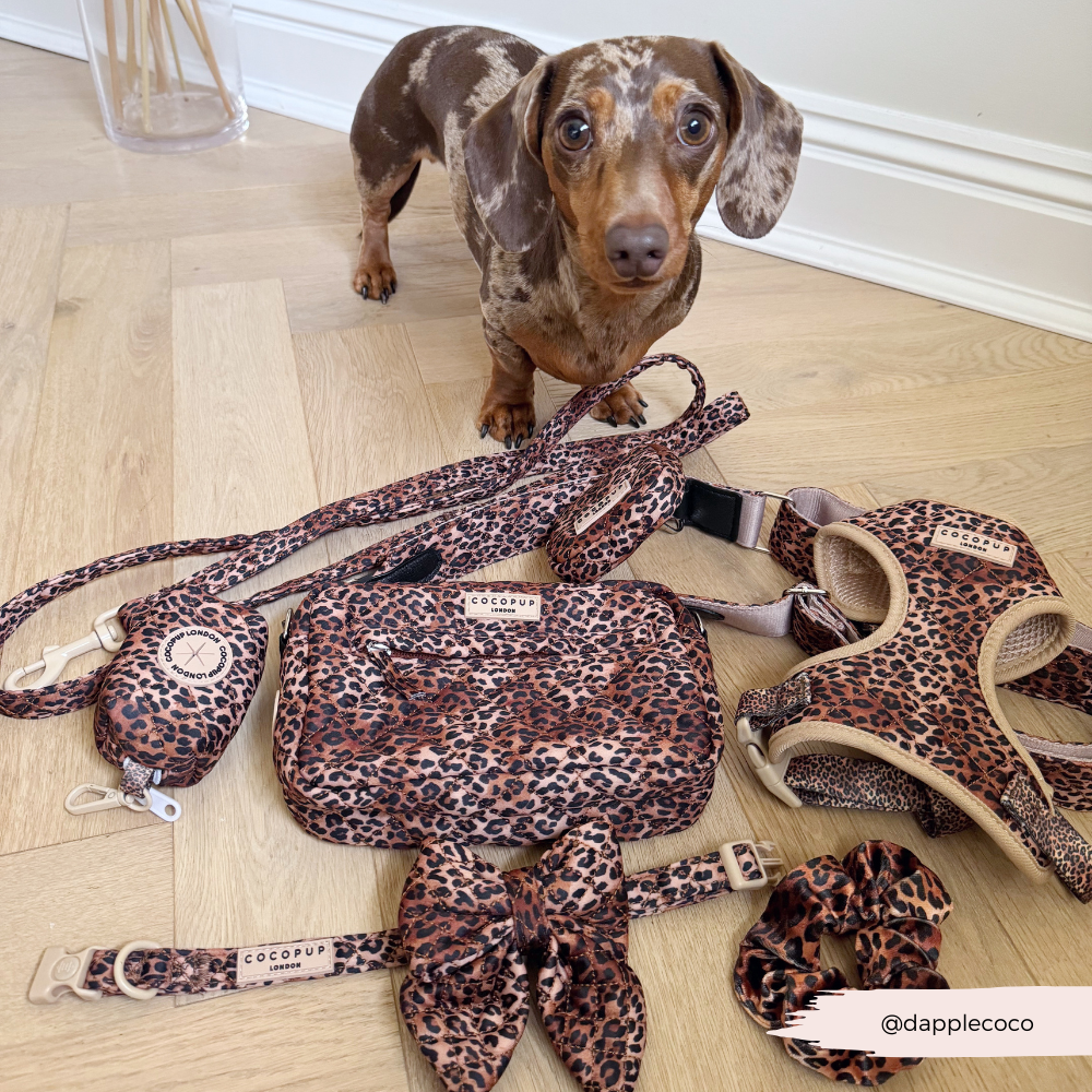 Quilted Leopard Pup Adjustable Neck Dog Harness, Lead Collar