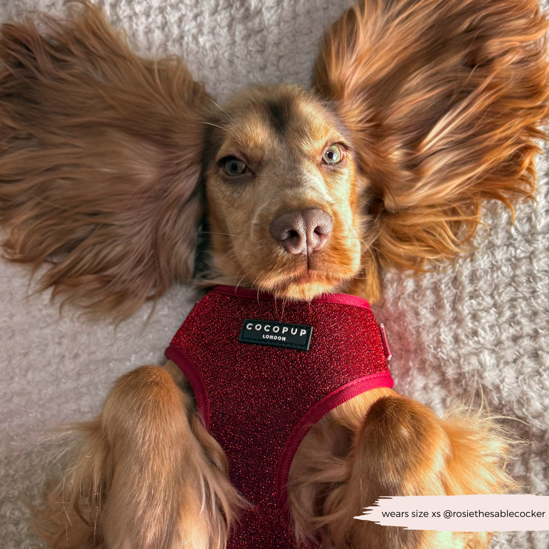 Limited Edition Burgundy Sparkle Pup Adjustable Neck Harness