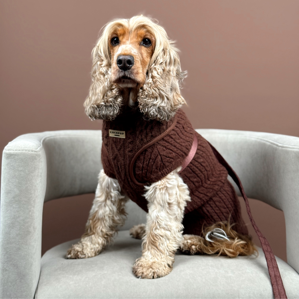 Hot Coco Cable Knit Adjustable Neck Harness, Lead & Collar Bundle