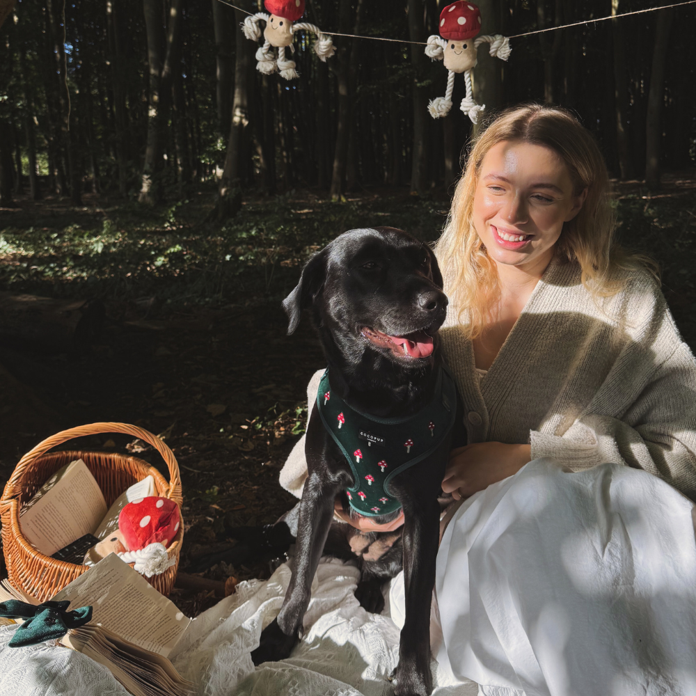 Toadstool Trails Adjustable Neck Harness, Lead & Collar Bundle