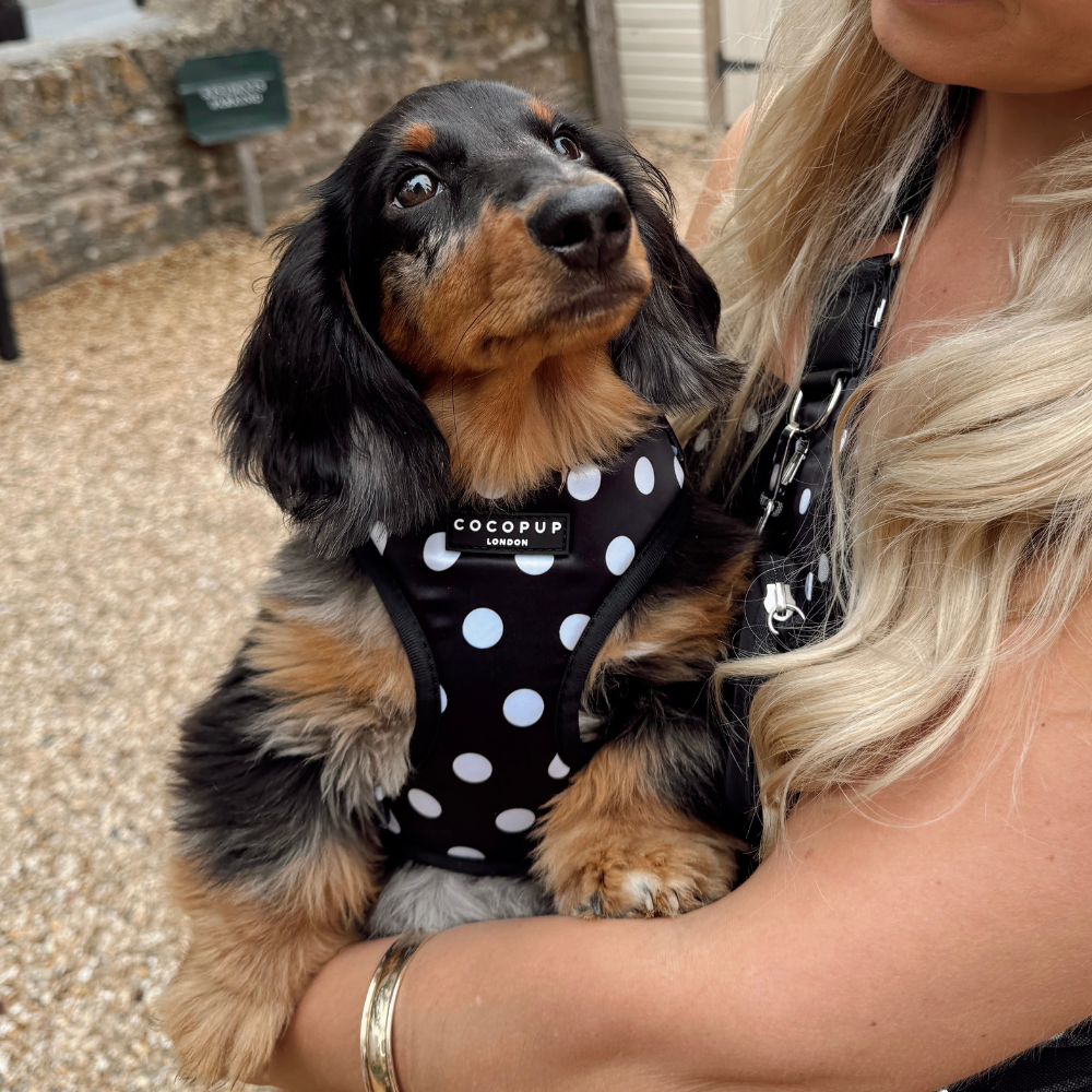 Satin Polka Dot Adjustable Neck HARNESS