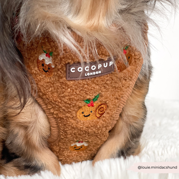 Festive Pudding Pup Adjustable Neck Harness, Lead & Collar Bundle
