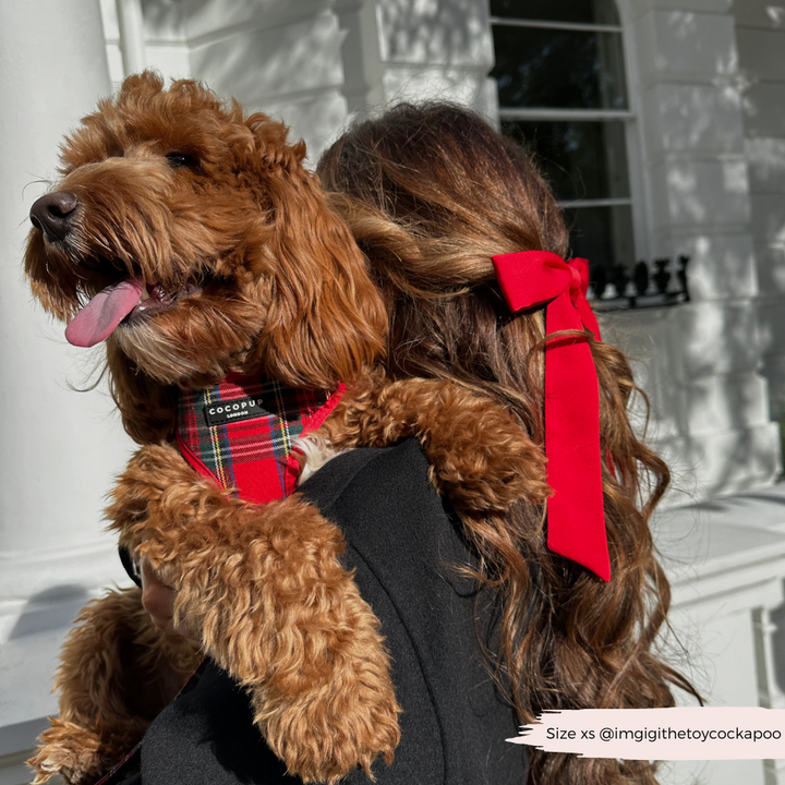 Tartan Adjustable Neck Harness