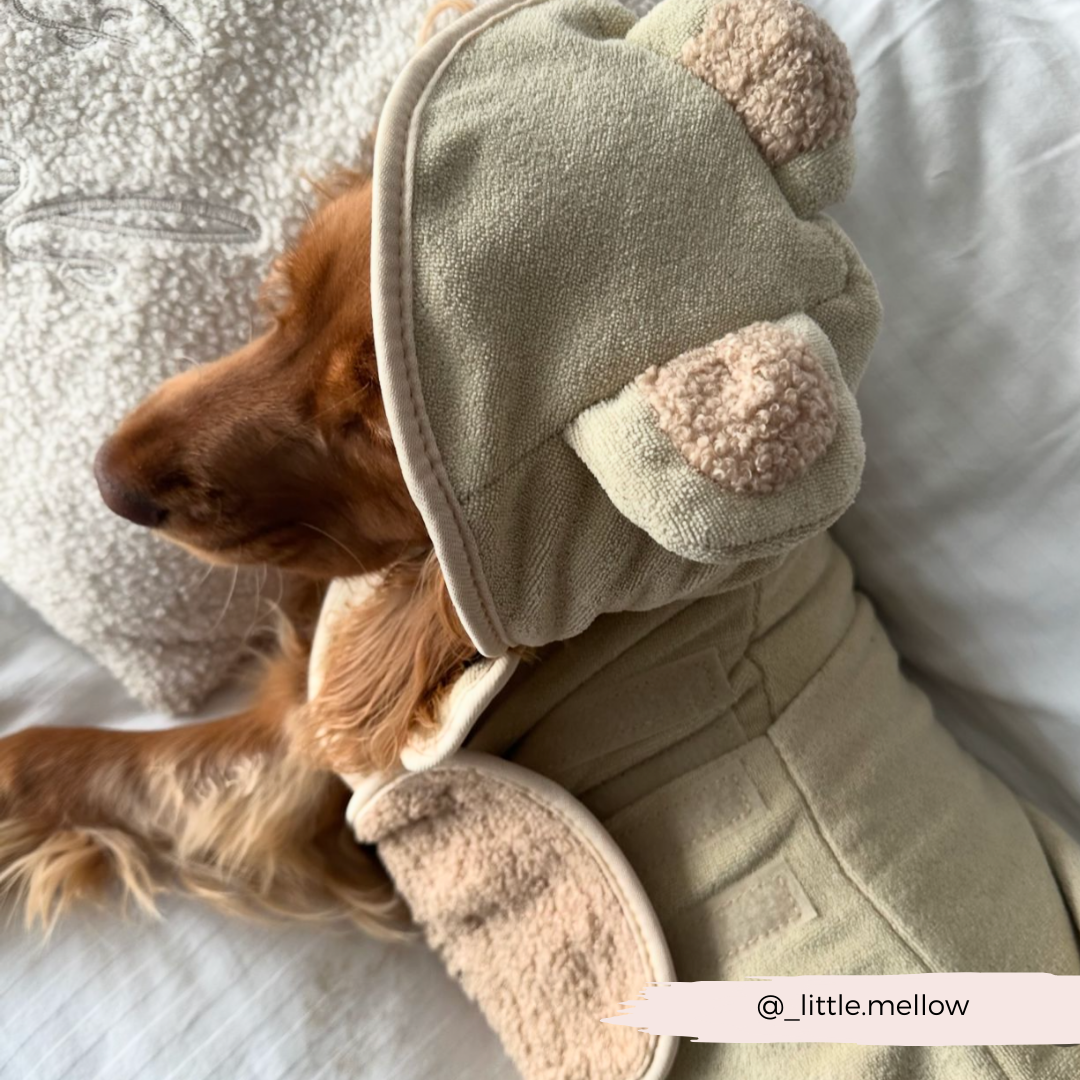 Teddy Dog Drying Robe Cocopup London