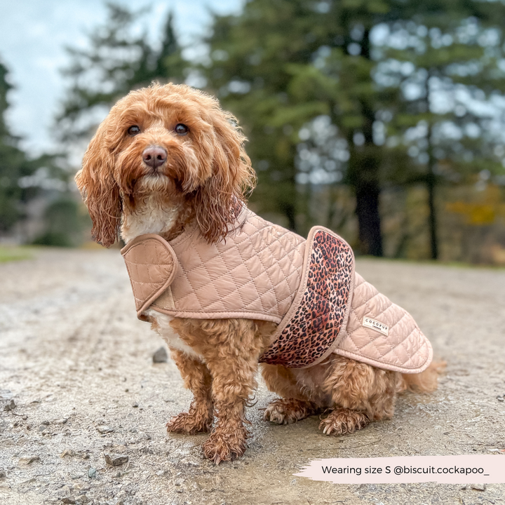 LUXE Quilted Dog Coat - Leopard Pup