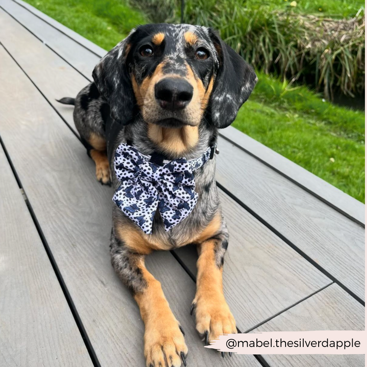 Pupperfly Sailor Bow Tie