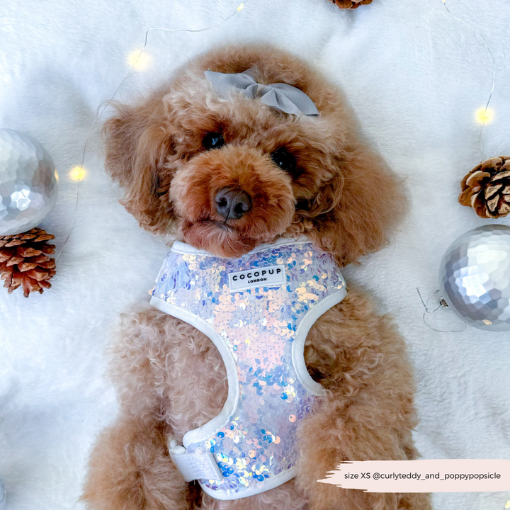 Limited Edition LUXE Party Holographic Sequin Harness