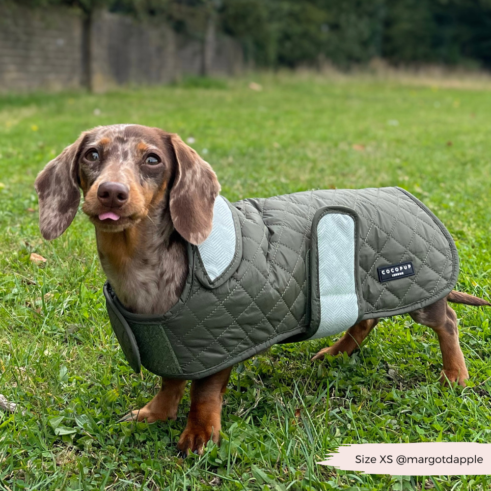 Quilted dog coats best sale