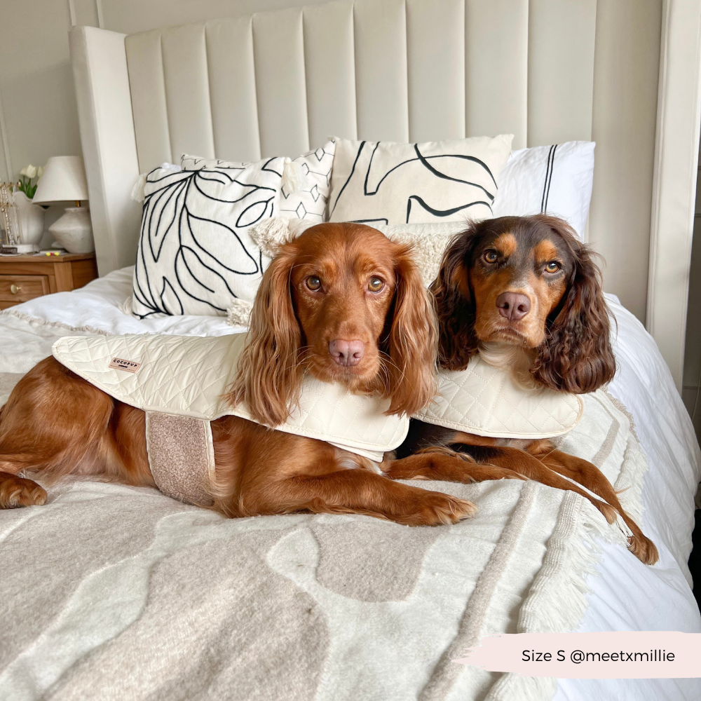 LUXE Quilted Dog Coat - Creamy Chai | Cocopup London LUXE Quilted Dog Coat - Creamy Chai | Cocopup London