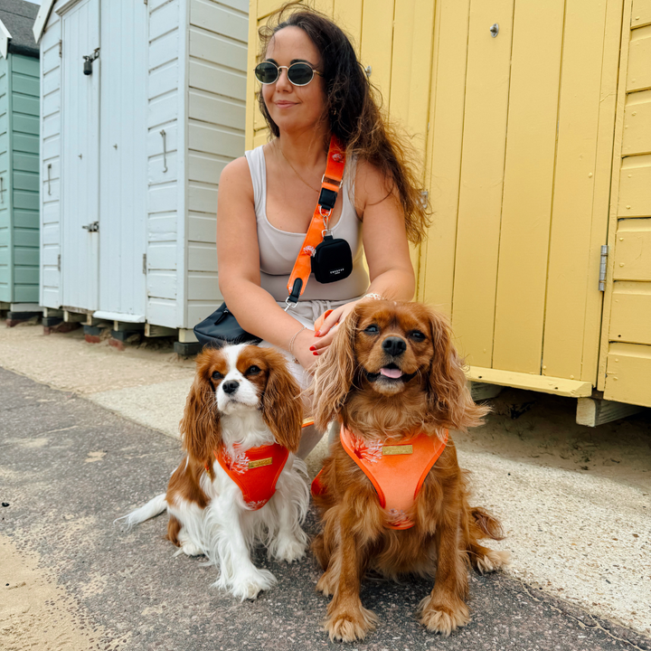 Luxe Velvet Bag Strap - Coral Core