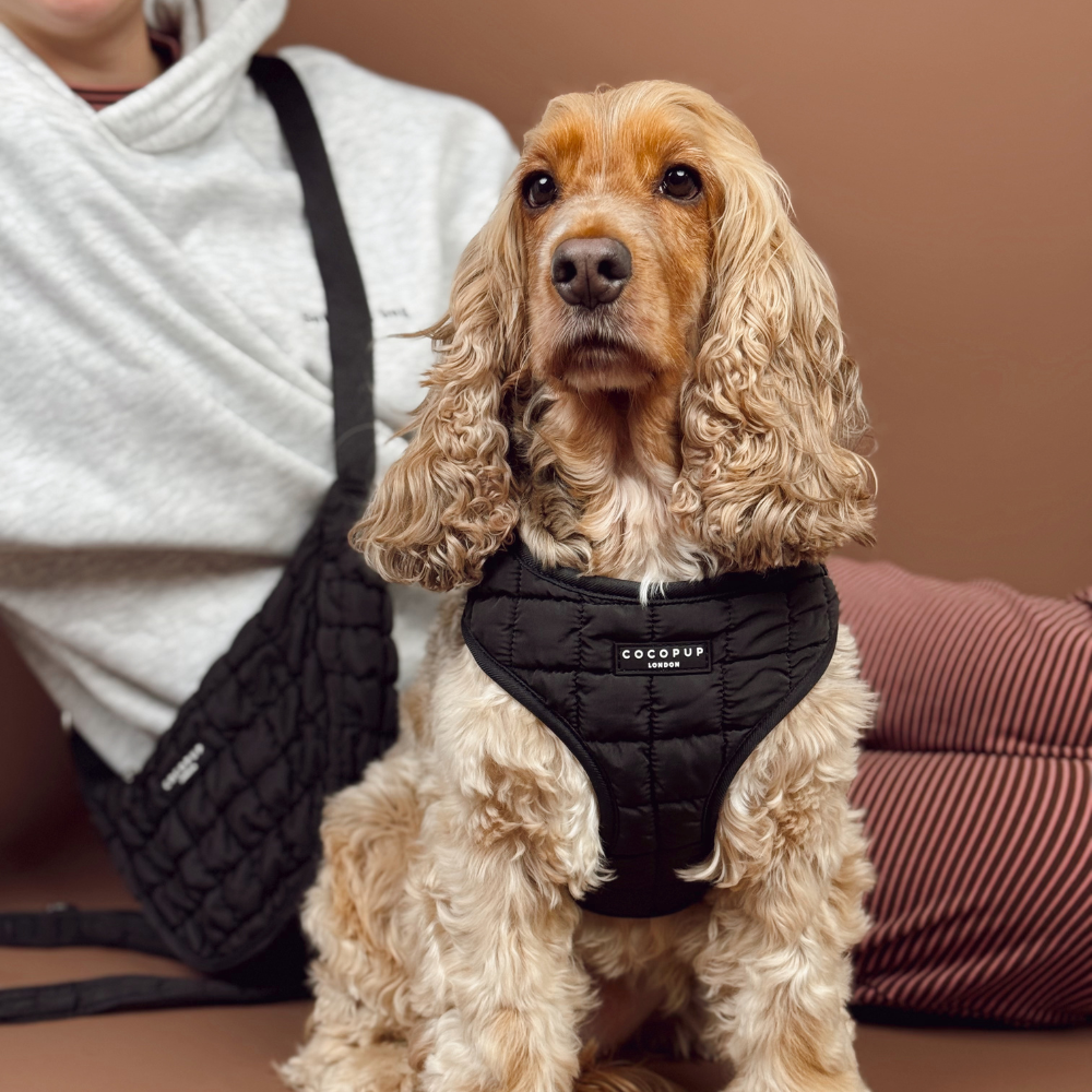 Onyx Quilted Adjustable Neck HARNESS