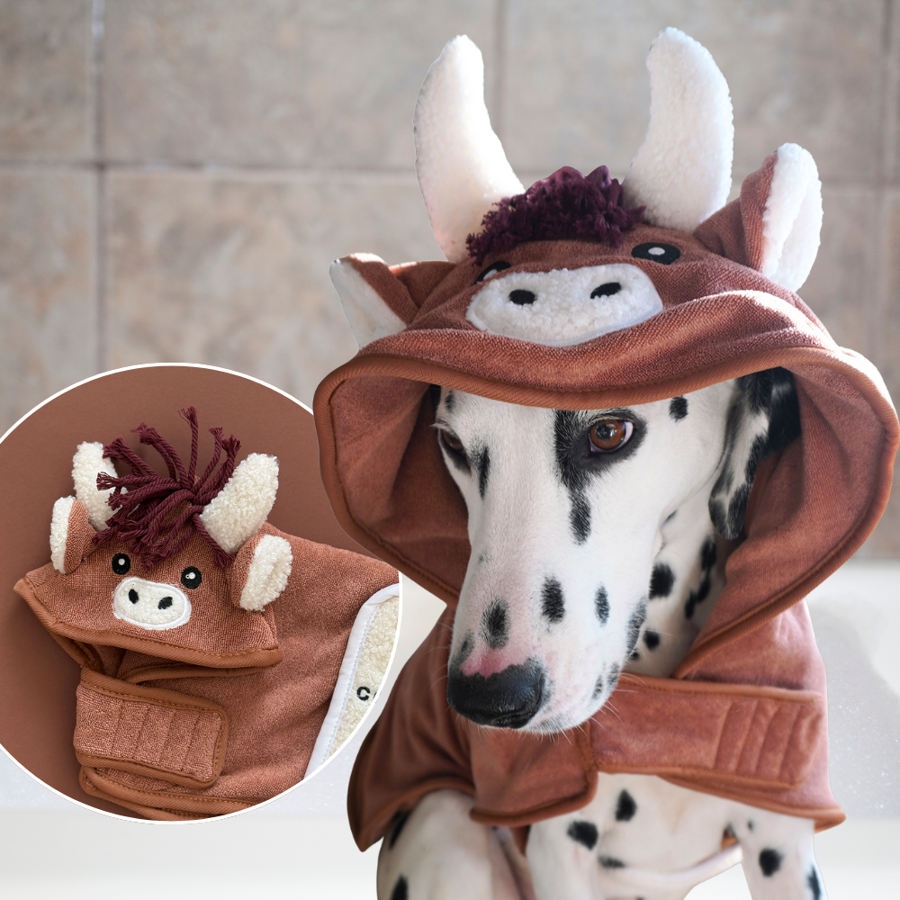 Best Selling Boy Dog Designs – Cocopup London