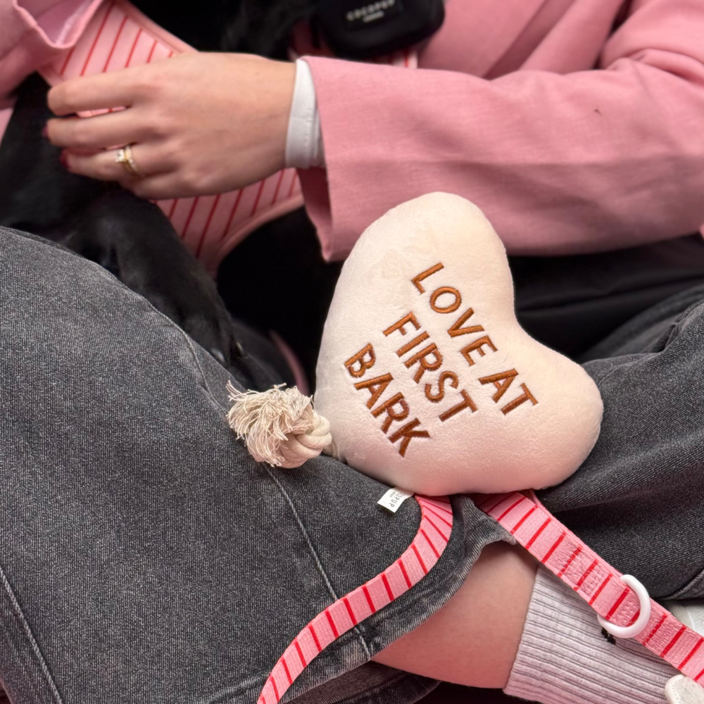 Love at First Bark Dog Toy