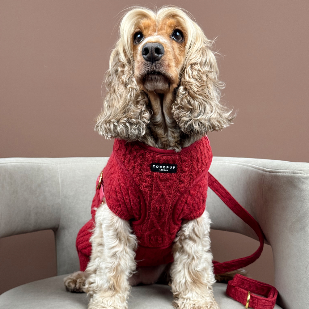 Mulled Wine Cable Knit Adjustable Neck Harness, Lead & Collar Bundle